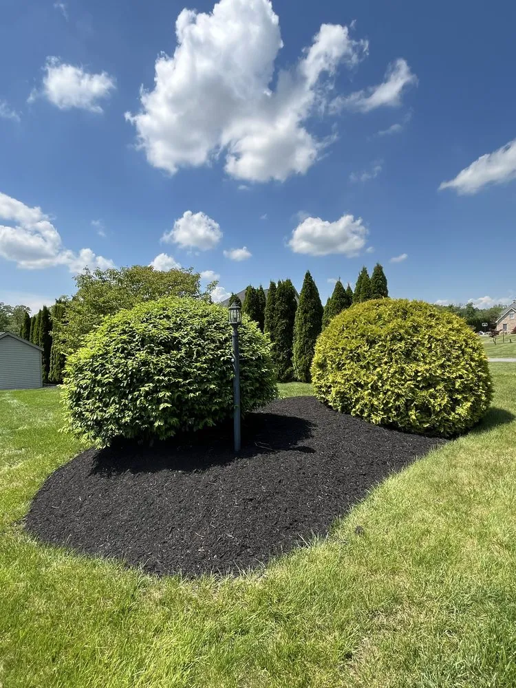 Trusted lawn mowing service in Walnutport, PA - Wuchter Property Works