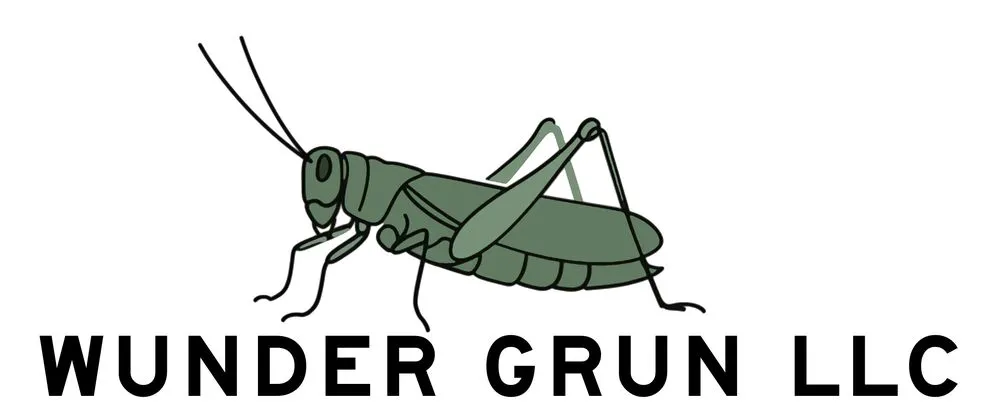 Reliable outdoor landscaping in Champaign, IL by Wunder Grun