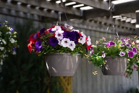 Local lawn care service near you across Erie, PA - Wurst J J Landscape Contractors & Garden Center