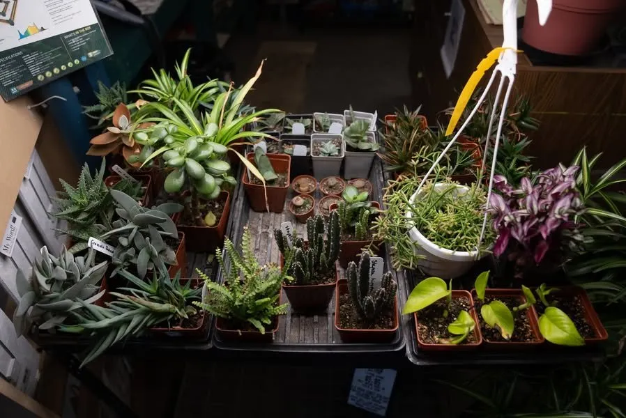 Trusted garden landscaping with custom design in Erie, PA by Wurst J J Landscape Contractors & Garden Center