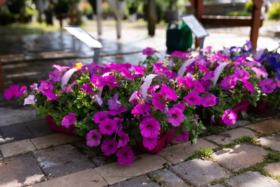 Professional lawn mowing service near you across Erie, PA - Wurst J J Landscape Contractors & Garden Center