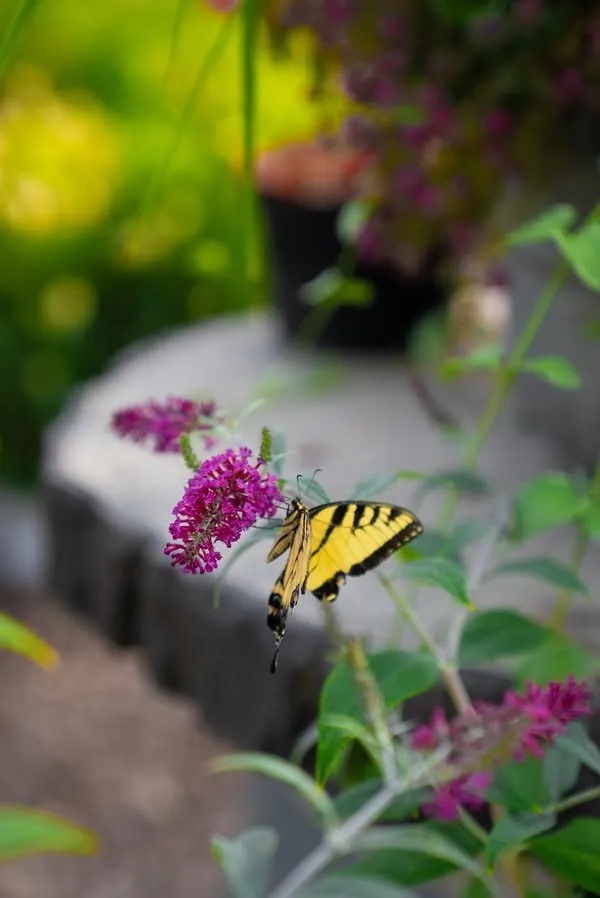 Affordable landscape design experts serving Erie, PA - Wurst J J Landscape Contractors & Garden Center