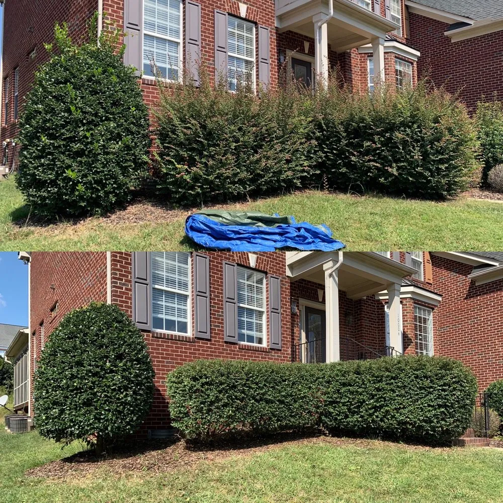Expert yard maintenance in Waxhaw, NC by Wuscaping