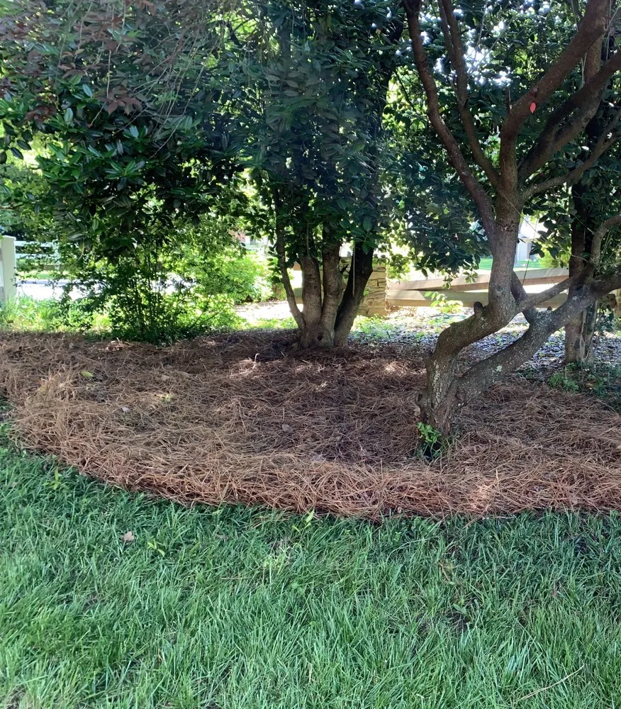 Trusted yard maintenance in Waxhaw, NC - Wuscaping