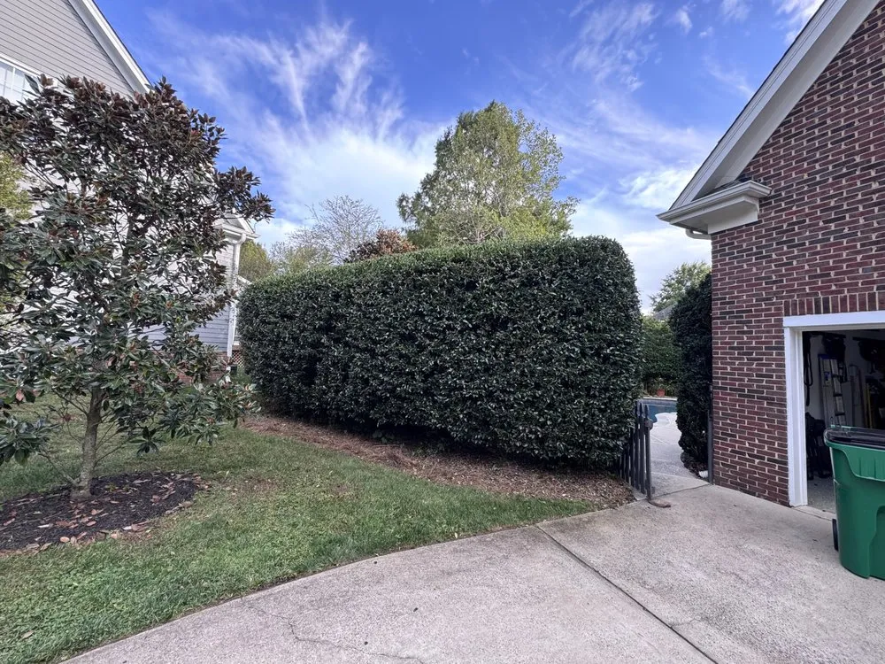 Trusted landscape design for year-round maintenance across Waxhaw, NC - Wuscaping