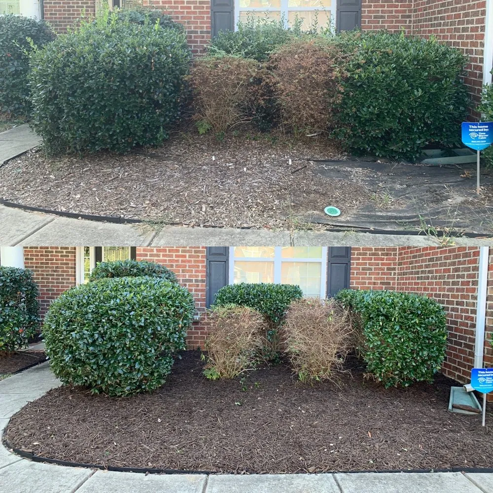Top-rated landscape installation experts serving Waxhaw, NC - Wuscaping