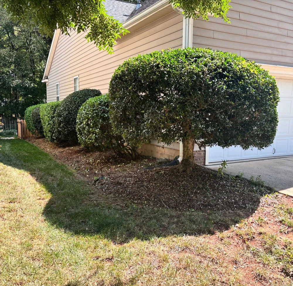 Top-rated outdoor landscaping for homes in Waxhaw, NC by Wuscaping