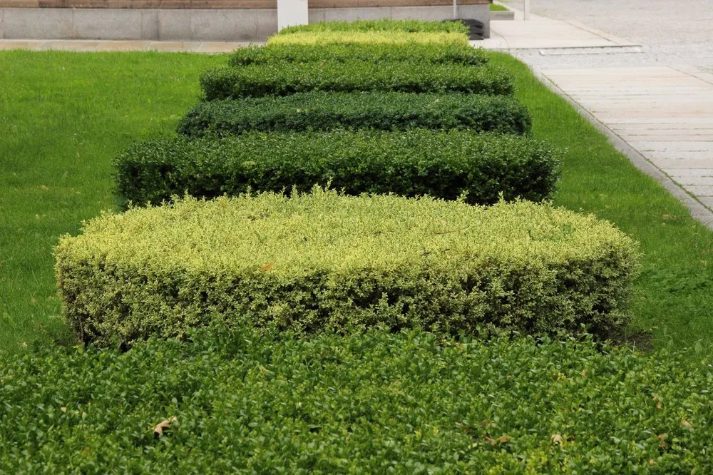 Local landscaping services experts serving Huntington, WV - WV Lawn Pros