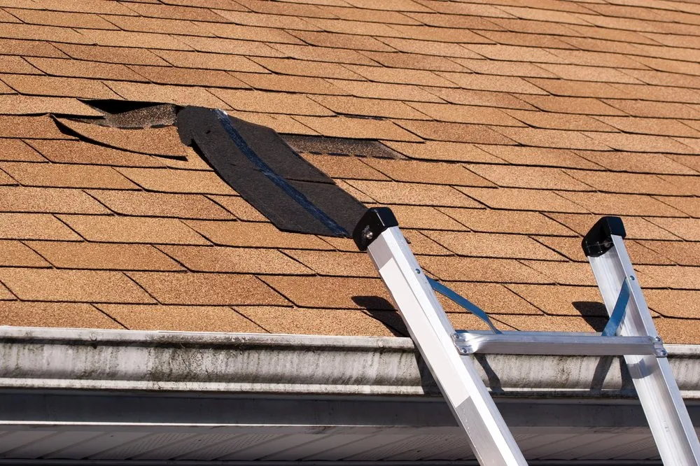 Professional lawn care service experts serving Huntington, WV - WV Lawn Pros