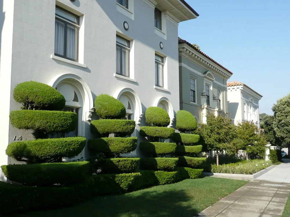 Expert lawn care service with custom design across Huntington, WV - WV Lawn Pros