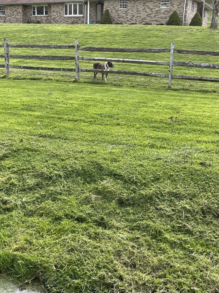 Trusted landscape design in Fairmont, WV by WV Sasquatch Lawn Care