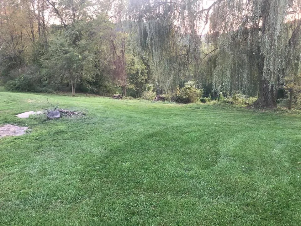 Professional outdoor landscaping experts serving Fairmont, WV - WV Sasquatch Lawn Care