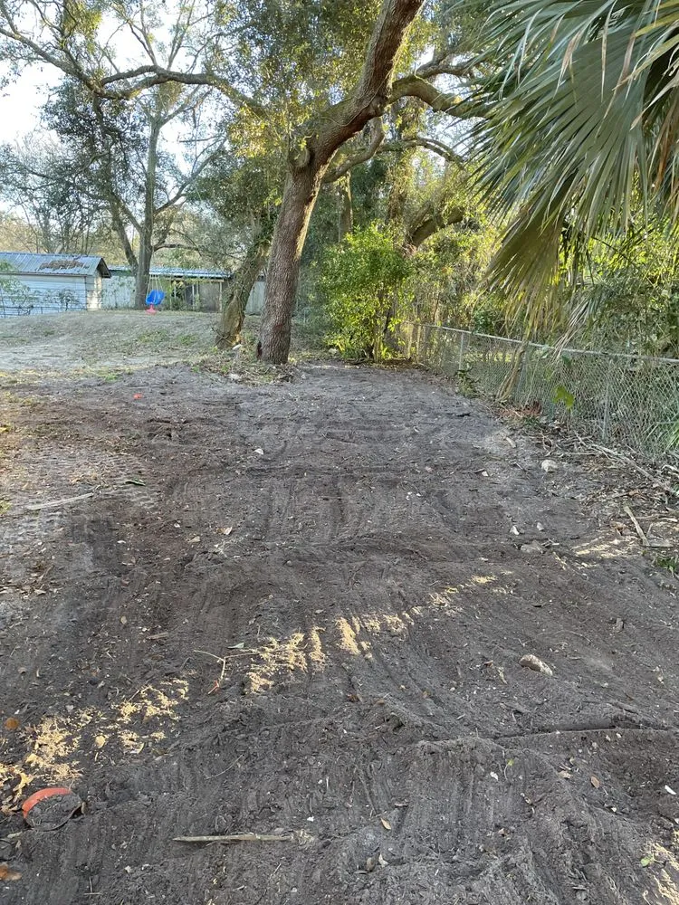 Top-rated lawn care service experts serving Jacksonville, FL - W&W Land and Lawn Care