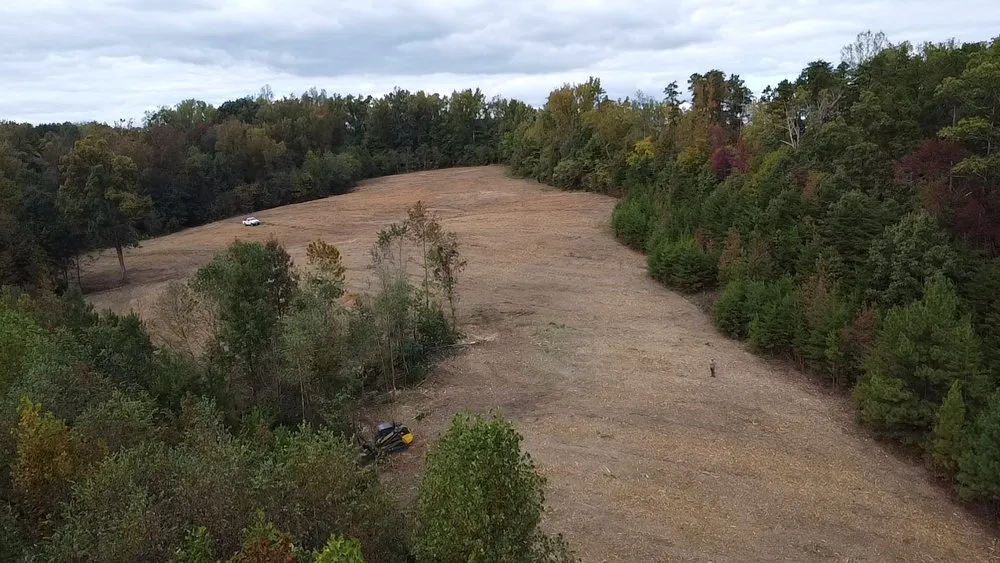 Trusted residential landscaping for beautiful yards across Danville, VA - WW Land Management