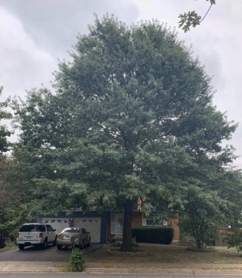 Custom garden landscaping for homes across Herndon, VA - W&W Landscaping