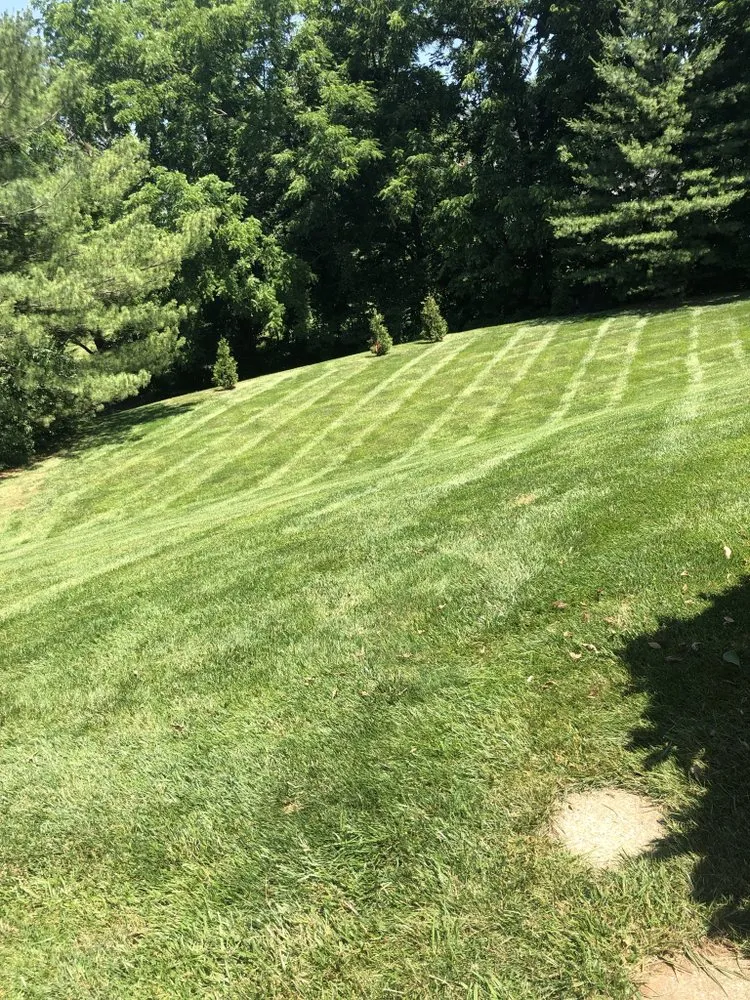 Affordable yard cleanup service for year-round maintenance in Louisville, KY by W&W Lawn and Landscaping