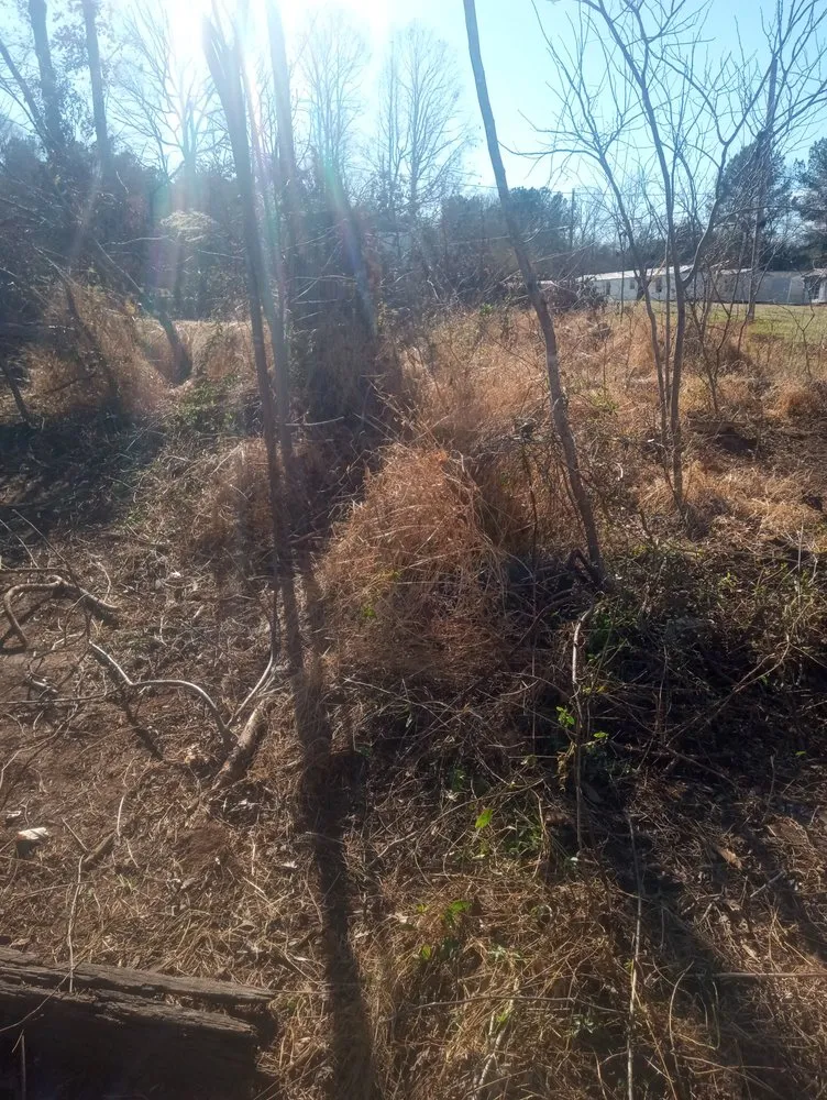 Trusted yard maintenance near you in Mebane, NC by W&W Lawn Care