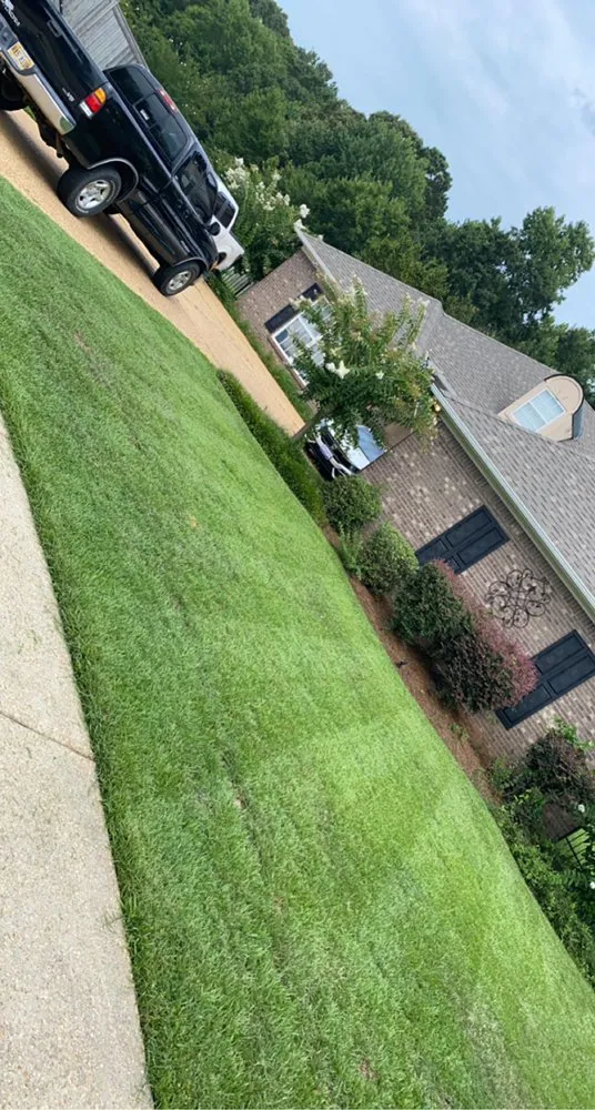 Local outdoor landscaping in Brandon, MS - WW lawn services