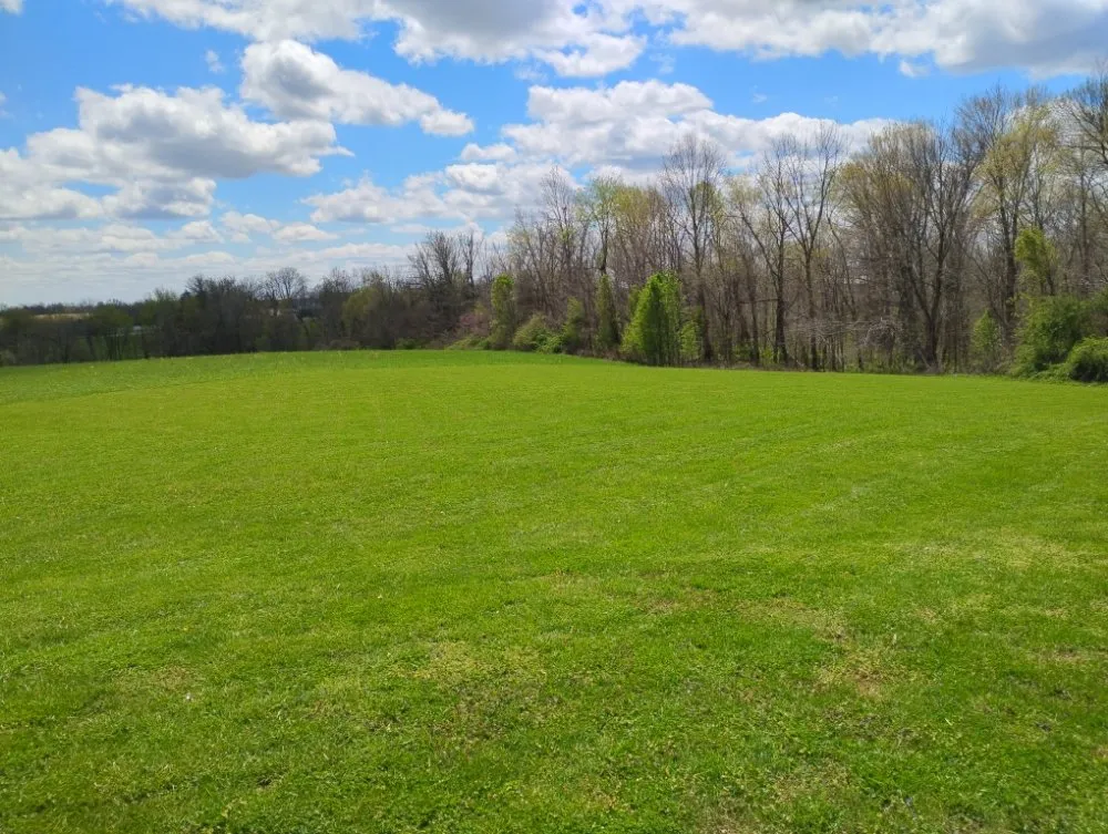 Professional yard cleanup service for homes across Taylorsville, KY - W&W Lawn Services