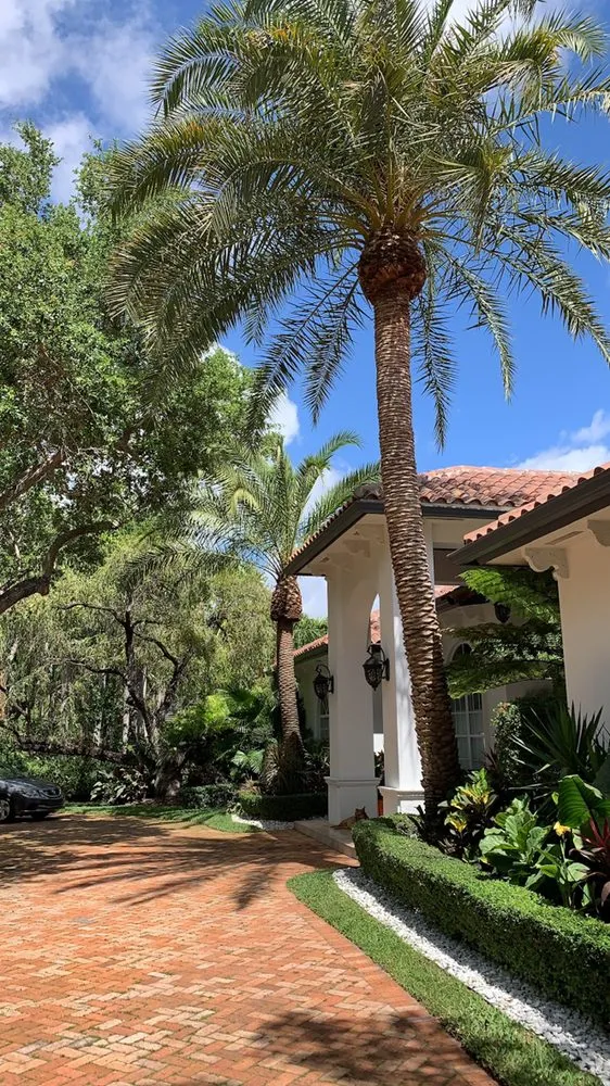 Expert landscaping services in Miami, FL by Ww Pacheco’s Landscaping