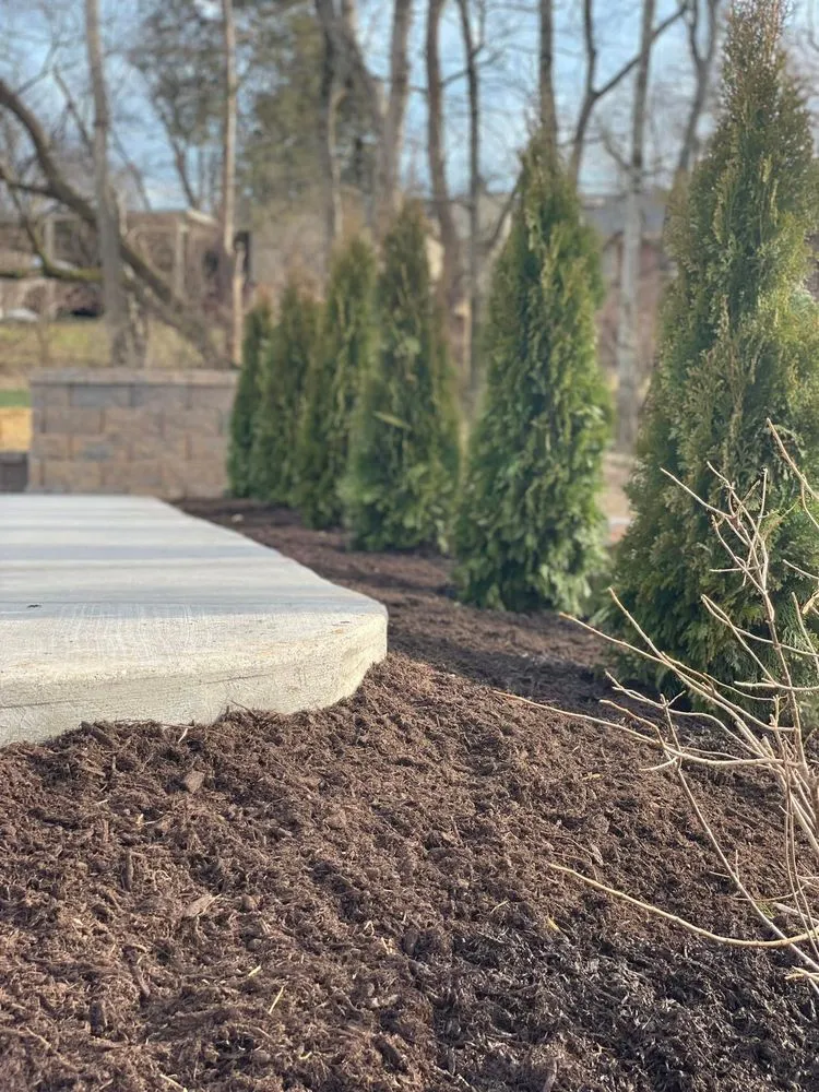 Local yard cleanup service in New Melle, MO - Wyat's Lawn and Landscape