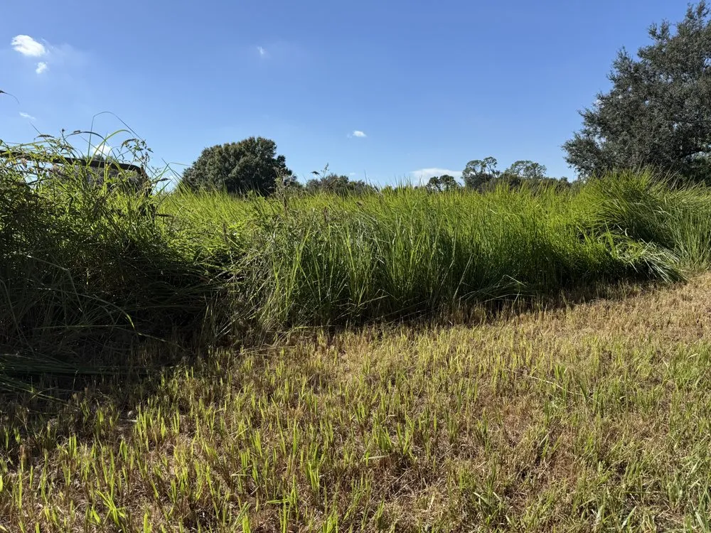 Reliable landscaping services experts serving Wimauma, FL - Wyatt-James Tractor Services And Hauling