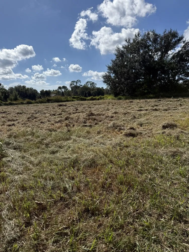 Custom outdoor landscaping for homes in Wimauma, FL by Wyatt-James Tractor Services And Hauling