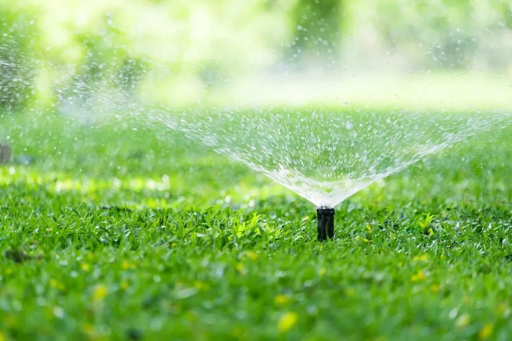 Trusted lawn mowing service for homes in Taylor, MS by Wyatt Lawn Managment