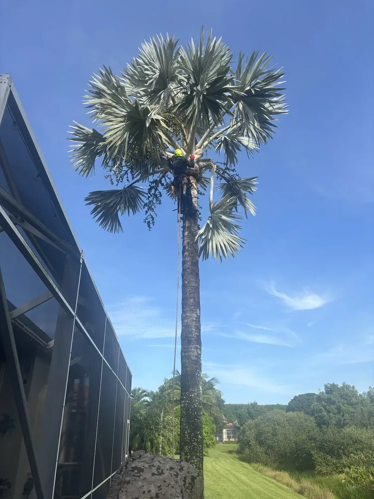 Custom yard maintenance experts serving West Palm Beach, FL - Wyatt Wnukowski Landscaping