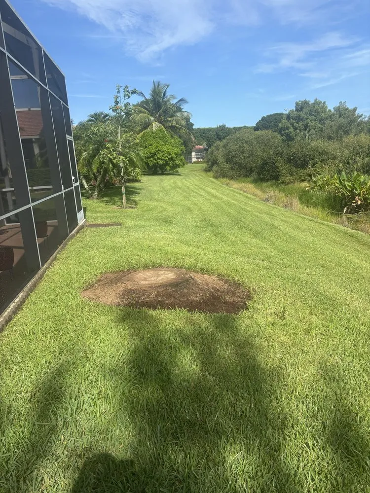 Top-rated lawn care service in West Palm Beach, FL by Wyatt Wnukowski Landscaping