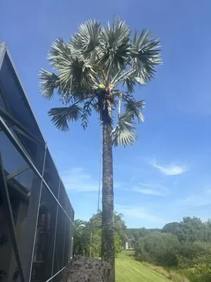 Wyatt Wnukowski Landscaping Logo