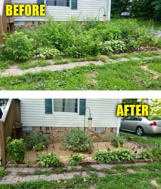 Top-rated residential landscaping experts serving Adams, TN - Wyatt's Lawn and Landscape