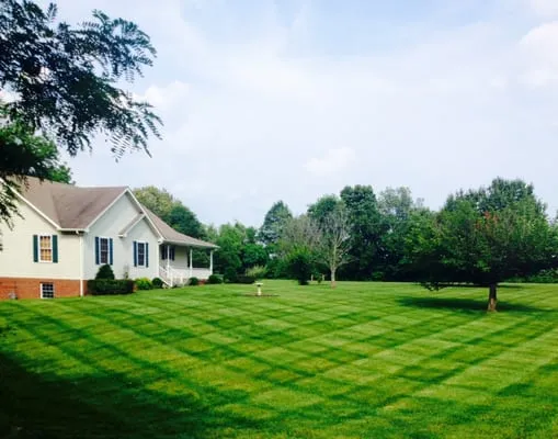 Wyatt's Lawn and Landscape Logo
