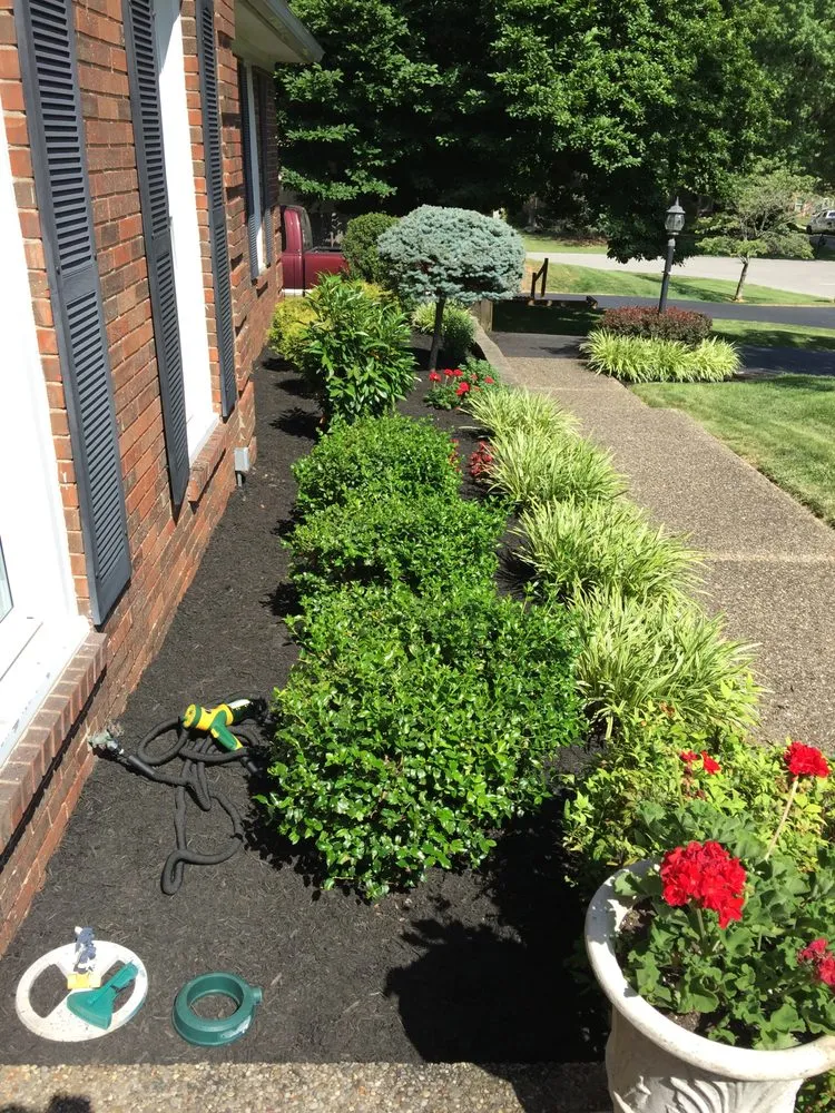 Local landscaping services in Louisville, KY by Wyatt’s Lawncare