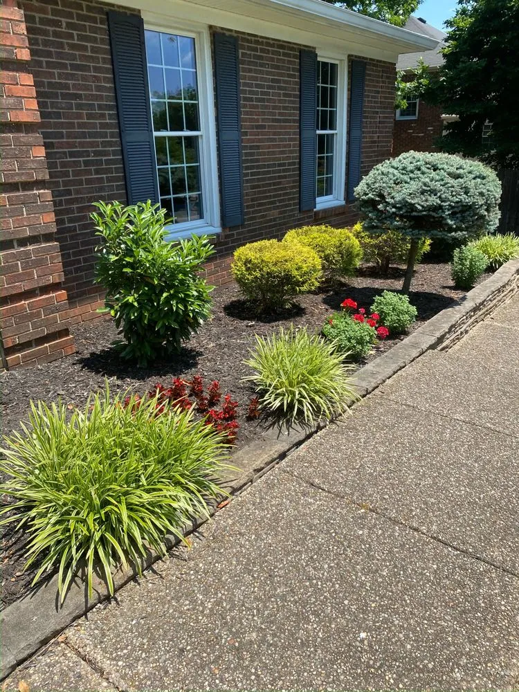 Expert lawn mowing service for homes across Louisville, KY - Wyatt’s Lawncare