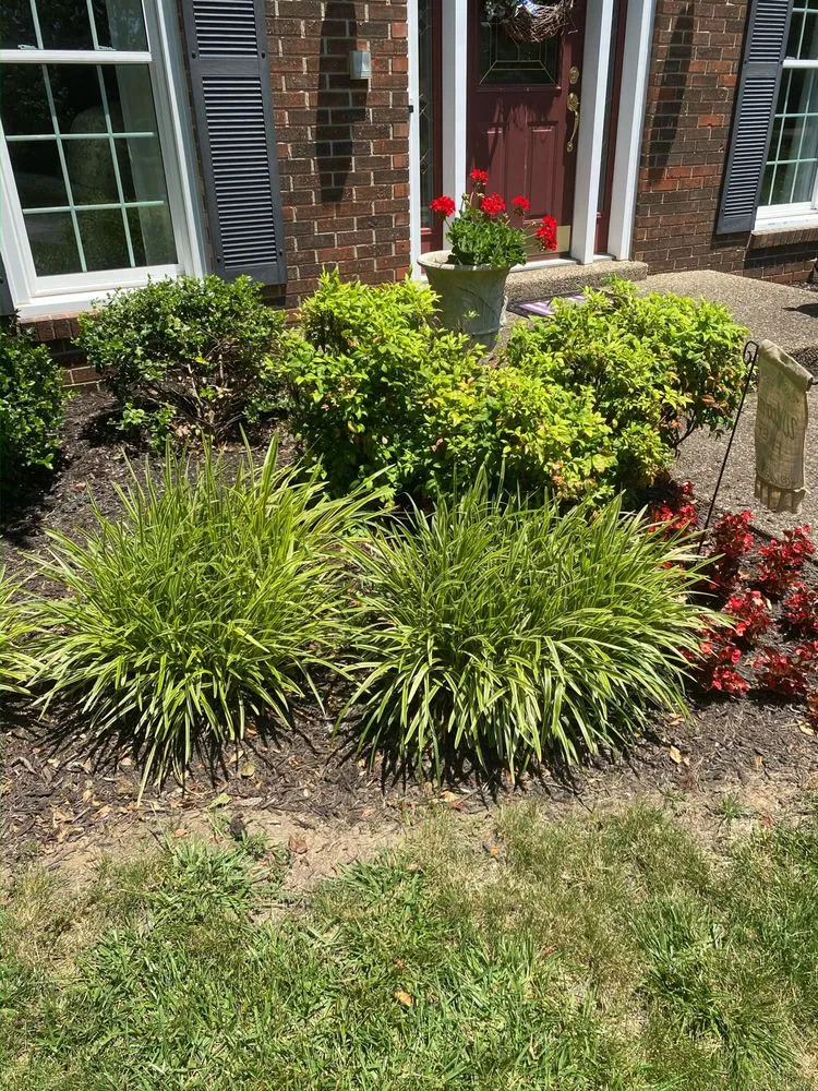 Top-rated outdoor landscaping for beautiful yards across Louisville, KY - Wyatt’s Lawncare