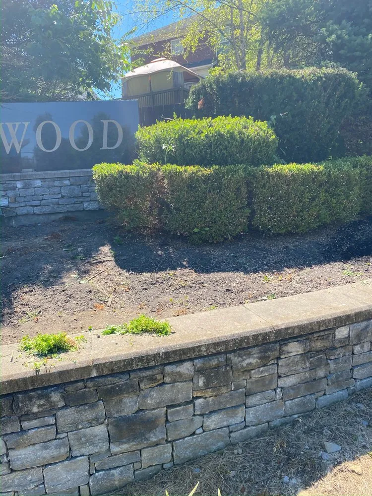 Custom yard cleanup service in Louisville, KY by Wyatt’s Lawncare