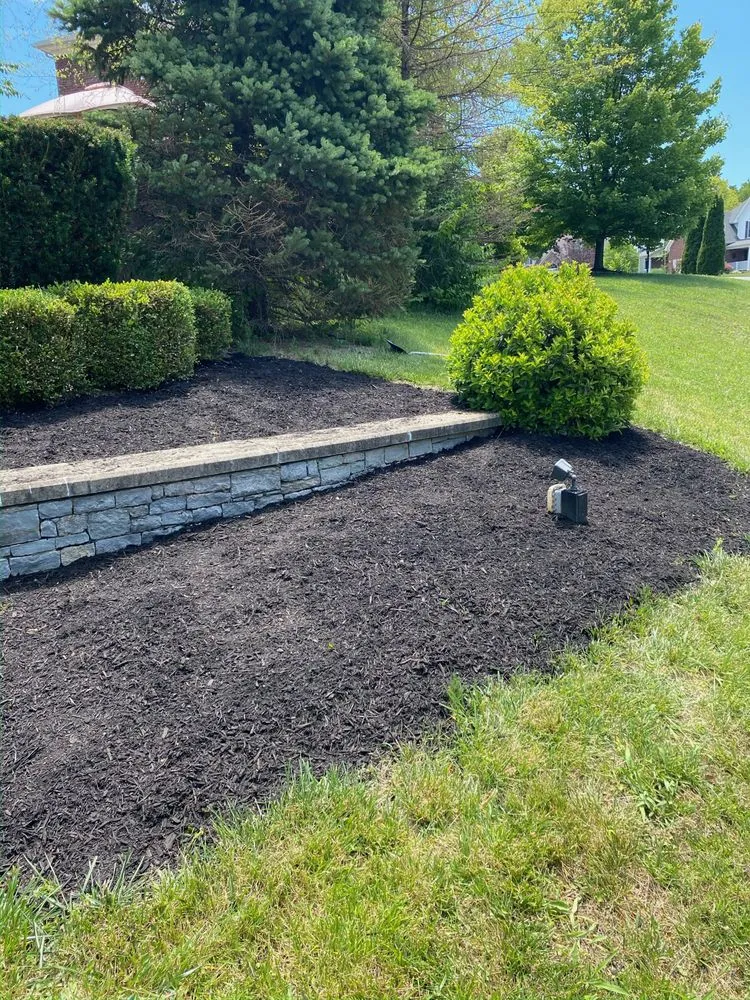 Professional lawn care service in Louisville, KY - Wyatt’s Lawncare