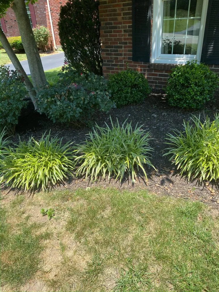 Affordable yard maintenance in Louisville, KY - Wyatt’s Lawncare