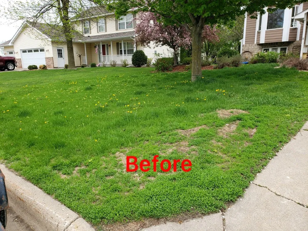 Affordable landscape installation in New Prague, MN by Wyatt’s Property Maintenance