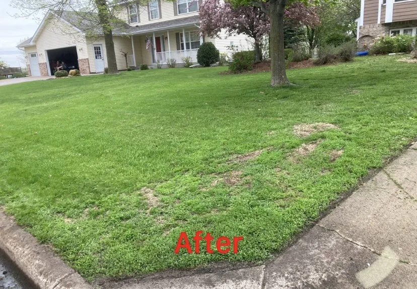 Local landscaping services for residential properties in New Prague, MN by Wyatt’s Property Maintenance