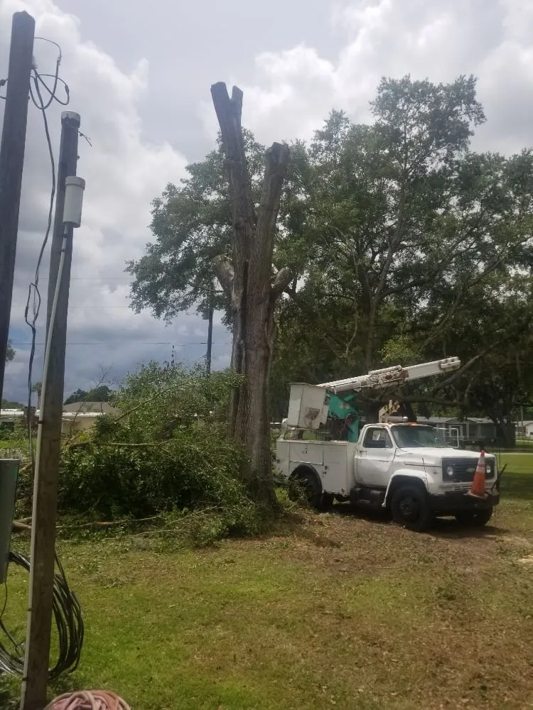 Top-rated yard maintenance with custom design in Lady Lake, FL by Wyatt's Way