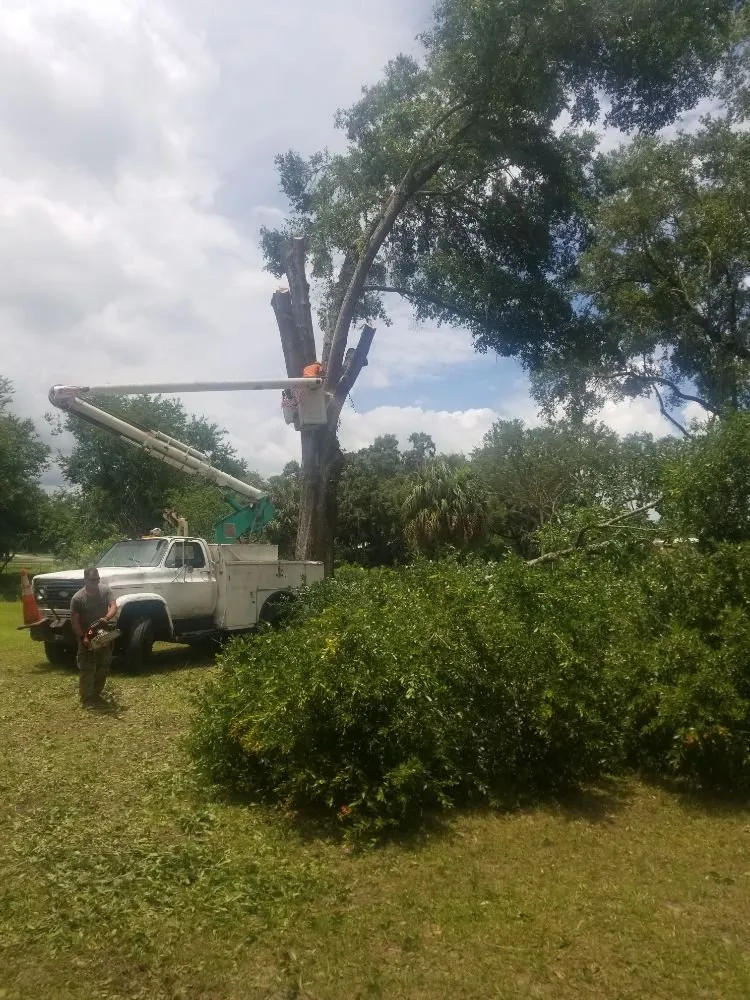 Professional lawn mowing service experts serving Lady Lake, FL - Wyatt's Way