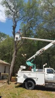 Local lawn mowing service in Lady Lake, FL - Wyatt's Way
