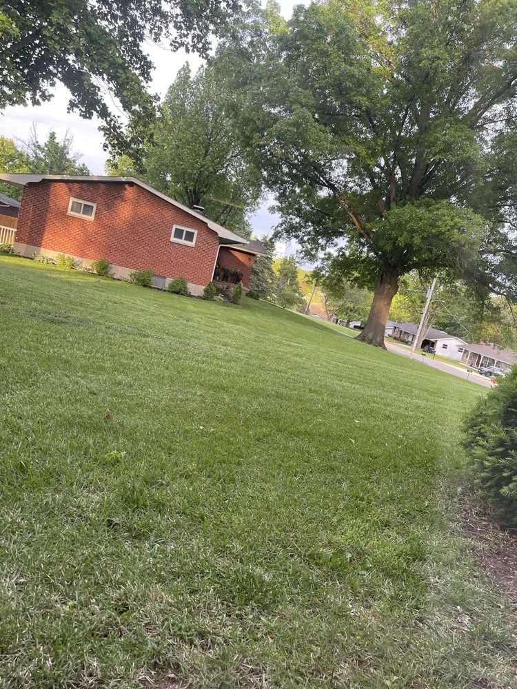 Custom lawn mowing service near you across Festus, MO - Wybrr's Lawn Care