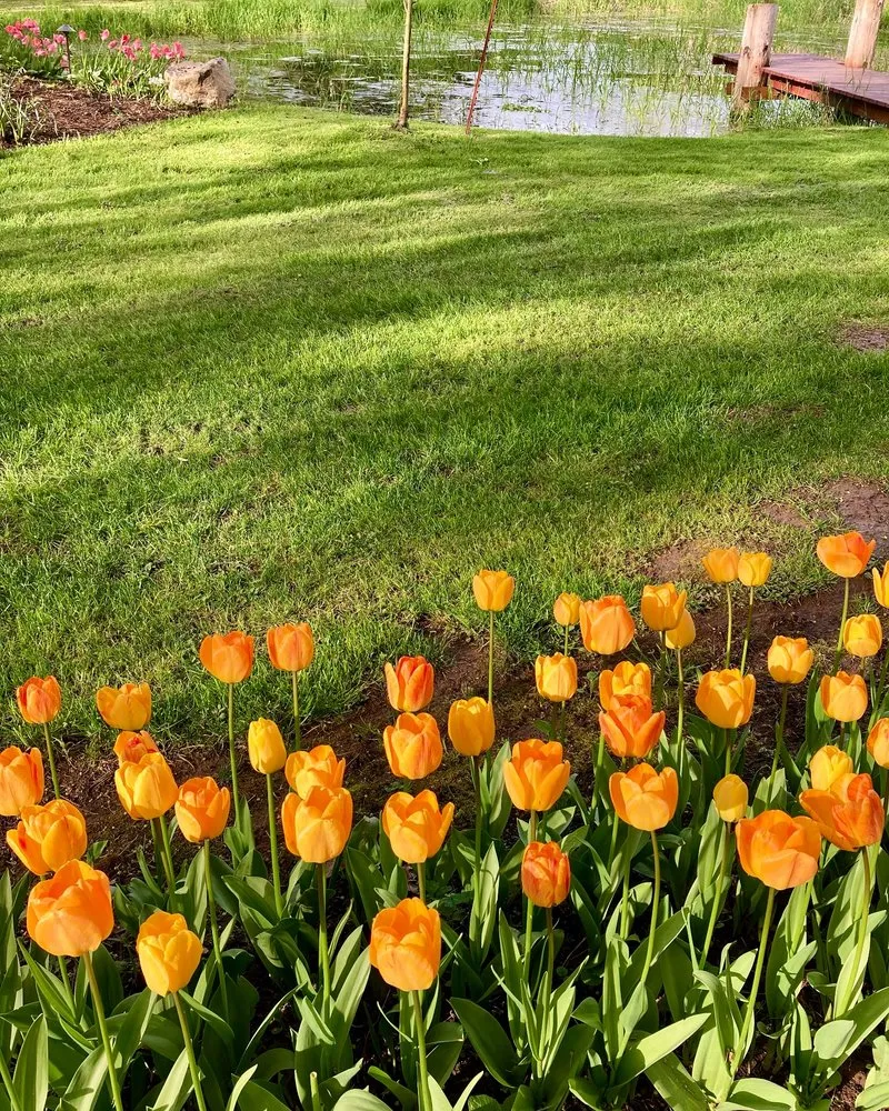 Trusted lawn care service near you across Damascus, OR - Wyeast Gardens