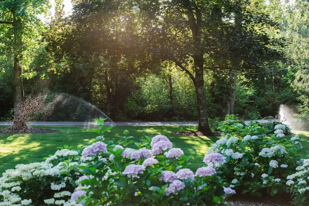 Professional yard cleanup service for year-round maintenance in Damascus, OR by Wyeast Gardens