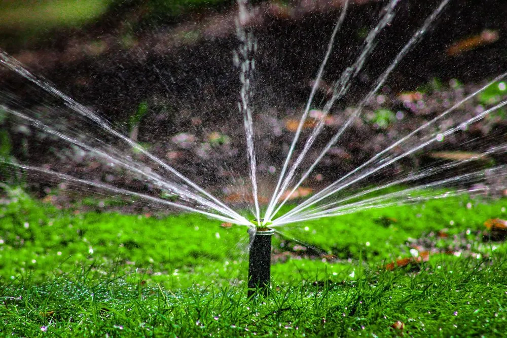 Local yard maintenance for outdoor upgrades in Damascus, OR by Wyeast Gardens