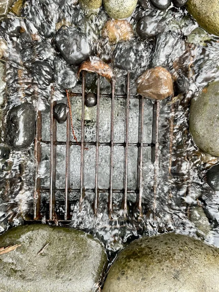 Trusted garden landscaping experts serving Damascus, OR - Wyeast Gardens