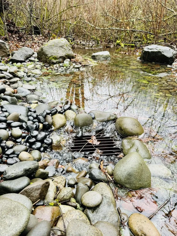 Professional landscape installation in Damascus, OR - Wyeast Gardens